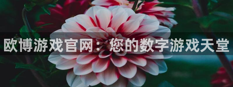 开心彩welcome