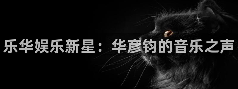 开心彩app下载