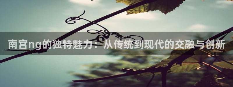 开心网手机版