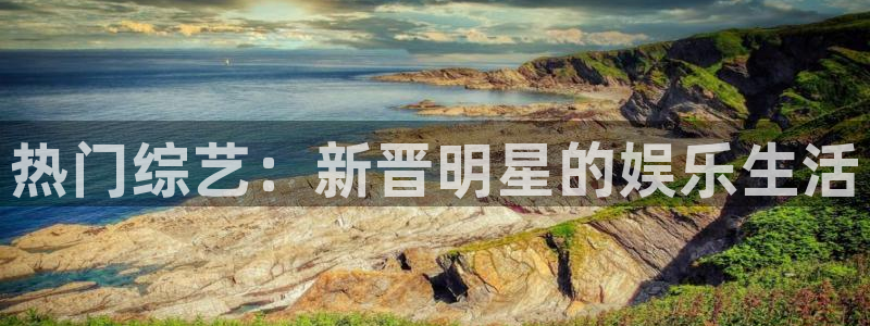 开心彩正版官网入口