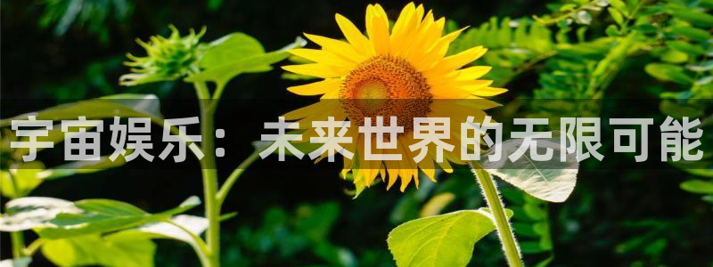 开心彩用户