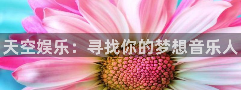 开心彩下载安装：天空娱乐：寻找你的梦想音乐人
