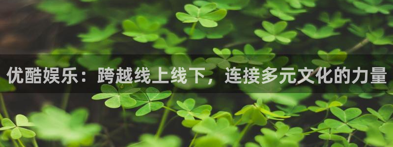 开心彩官网下载：优酷娱乐：跨越线上线下，连接多元文化的力量