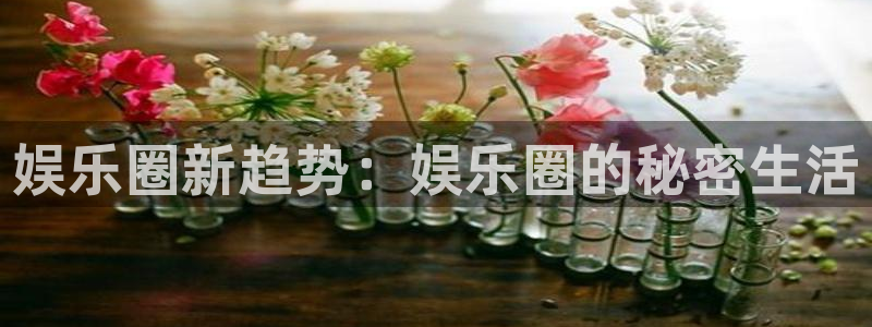 开心彩：娱乐圈新趋势：娱乐圈的秘密生活
