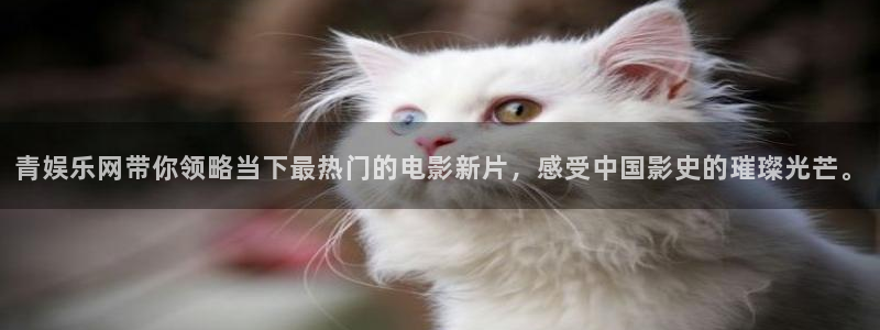 开心彩：青娱乐网带你领略当下最热门的电影新片，感受中国影史的璀璨光芒。