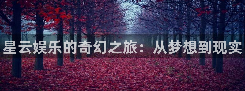 开心彩手机版：星云娱乐的奇幻之旅：从梦想到现实