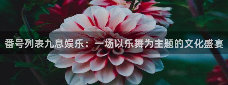 开心8快乐彩：番号列表九息娱乐：一场以乐舞为主题的文化盛宴
