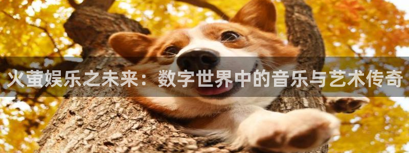 开心激情第六色：火萤娱乐之未来：数字世界中的音乐与艺术传奇