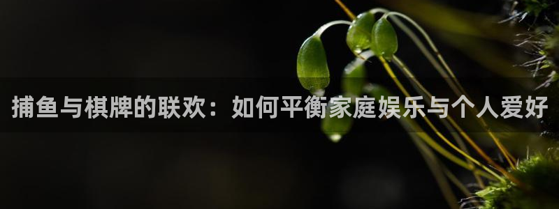 开心彩官网下载：捕鱼与棋牌的联欢：如何平衡家庭娱乐与个人爱好
