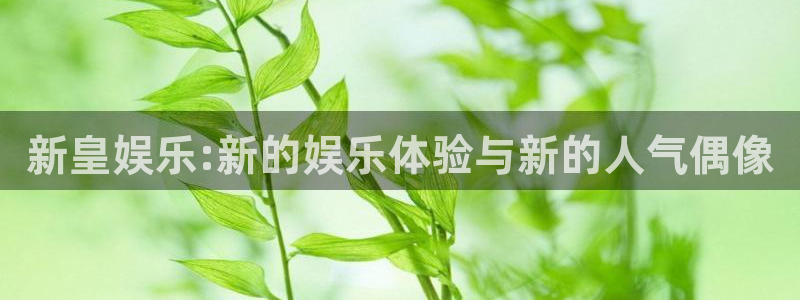 开心彩用户：新皇娱乐:新的娱乐体验与新的人气偶像