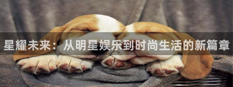 下载开心彩：星耀未来：从明星娱乐到时尚生活的新篇章