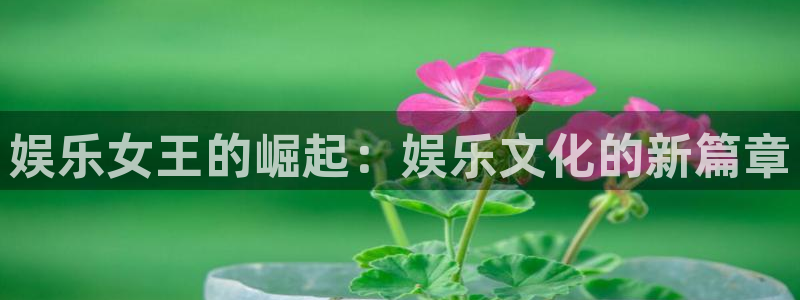 开心彩.apk：娱乐女王的崛起：娱乐文化的新篇章