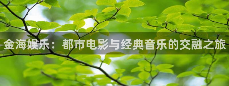 如果开心有颜色：金海娱乐：都市电影与经典音乐的交融之旅
