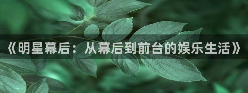 开心彩下载：《明星幕后：从幕后到前台的娱乐生活》