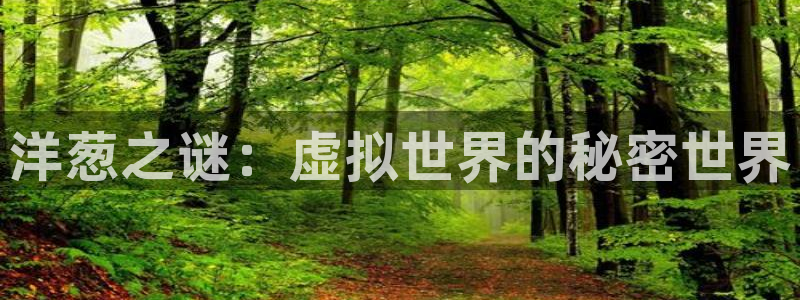 开心彩正版官网入口：洋葱之谜：虚拟世界的秘密世界