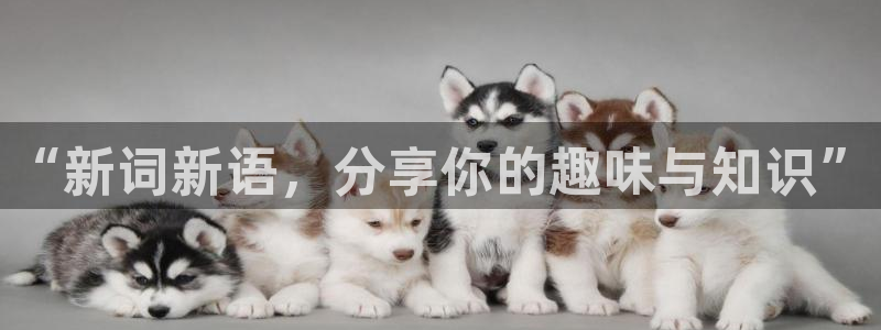 开心彩官网下载：“新词新语，分享你的趣味与知识”
