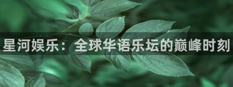 开心彩官网下载：星河娱乐：全球华语乐坛的巅峰时刻